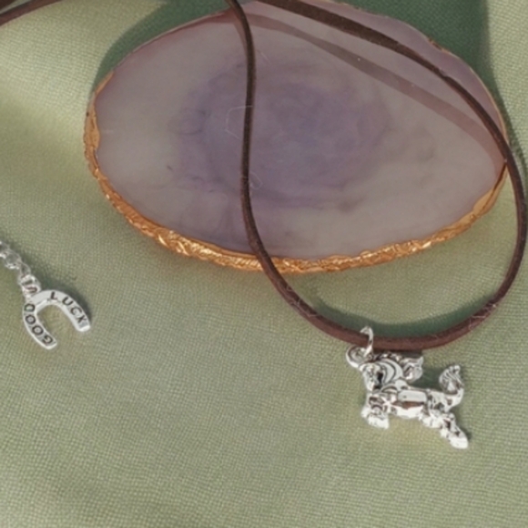 Silver Stallion Medallion Necklace Brown Suede Cord Earthy Neutral Westerncore - Picture 1 of 12